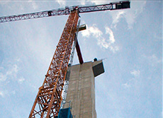 E05 ideal as tower crane's service hois